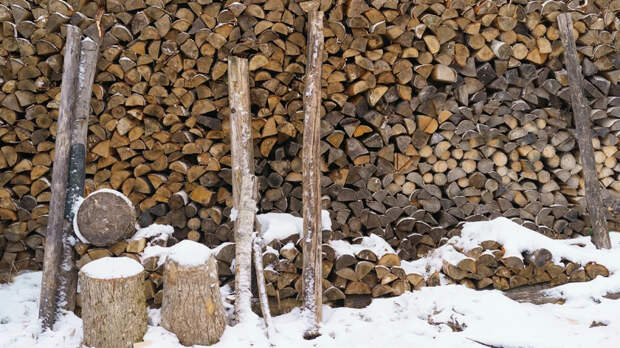 Что делали на Руси в ноябре