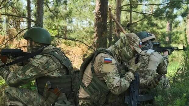 Показаны кадры конвоирования группы пленных боевиков на Покровском направлении