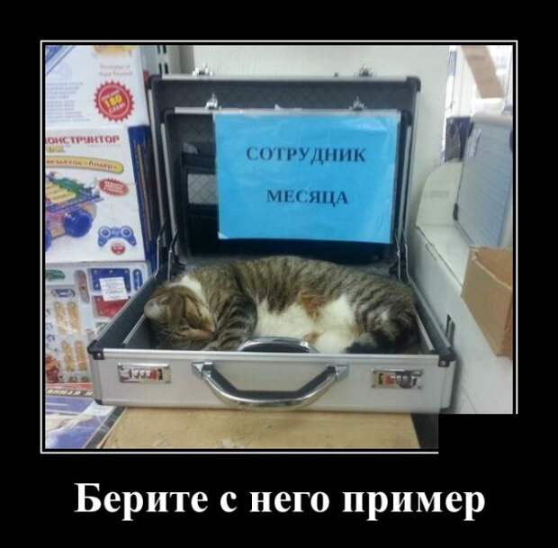 Демотиваторы (30 фото)