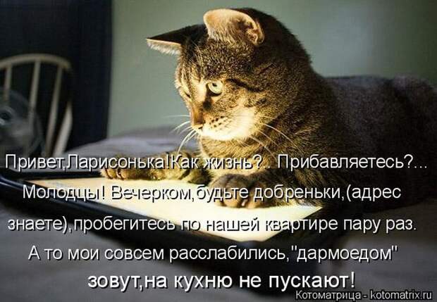 Забавные животные (50 фото)