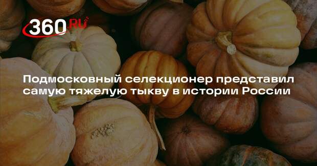 В Москве на выставке гигантского урожая представили тыкву массой 817 килограммов