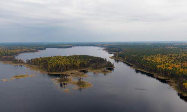 Заказник «Железные Ворота» в Пинежье отмечает 35-летие