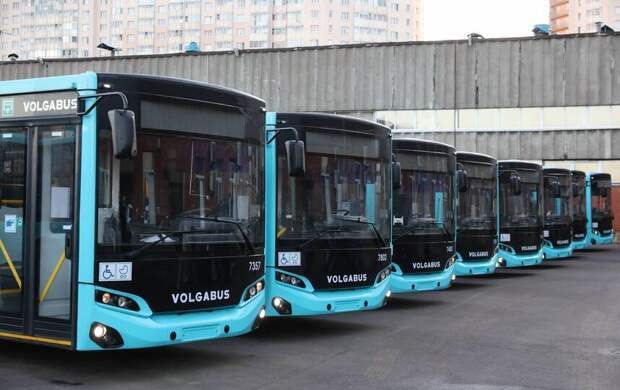 В Петербург поступило 8 автобусов-"гармошек"