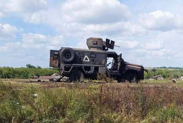 В ходе зачистки в районе села Камышевка Курской области уничтожена украинская ДРГ - Минобороны