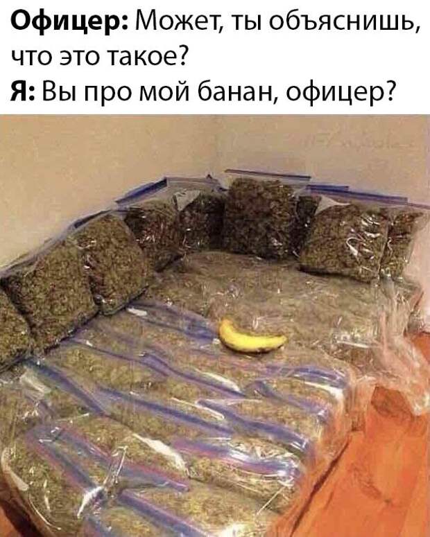 www.vsyako.net