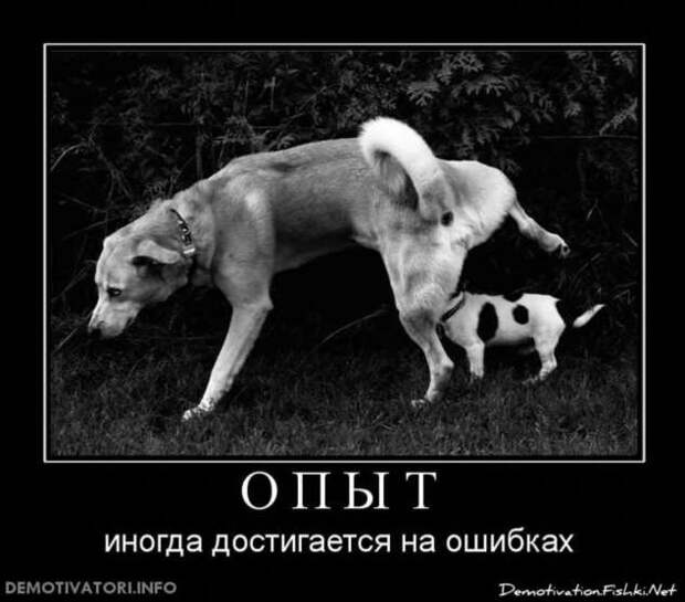 Прикольные демотиваторы с надписями. Подборка chert-poberi-dem-chert-poberi-dem-14580603092020-5 картинка chert-poberi-dem-14580603092020-5