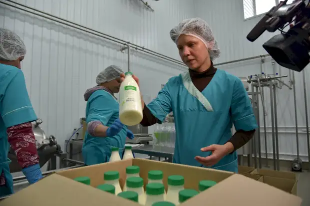 Союз труда и ответственности. Как в алтайском селе за шесть лет построили успешный агрокомплекс