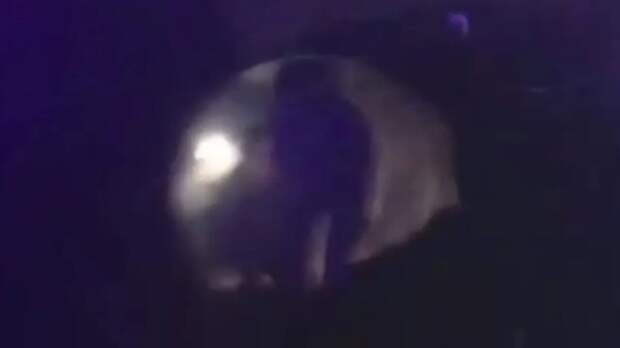 Скрин видео соцсети.