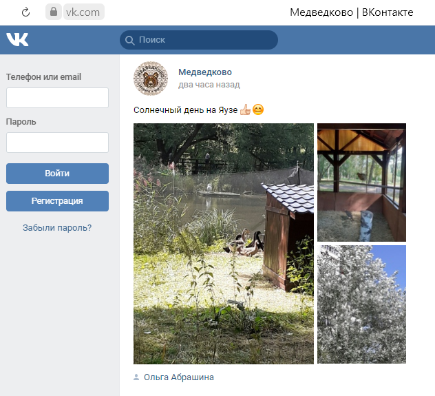 Москвичка сфотографировала пернатых обитателей на Яузе