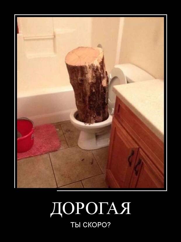 Демотиваторы (30 фото)