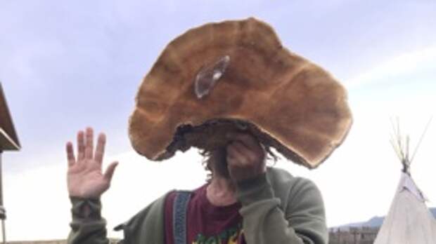 vk.com/hempbird/Артём Кержак