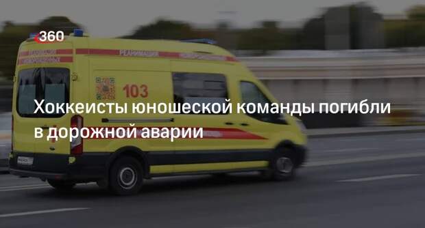 Двое хоккеистов юношеской команды «Чайка» скончались в ДТП в Вологодской области