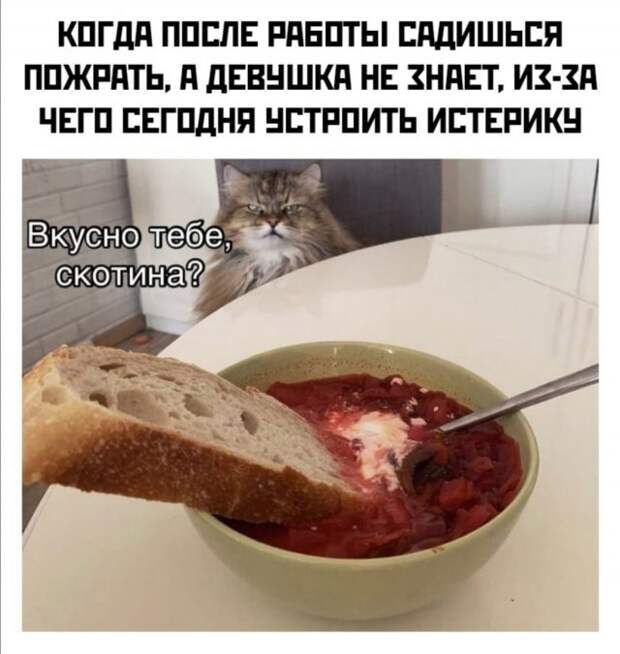 Приколы и мемы про девушек и отношения