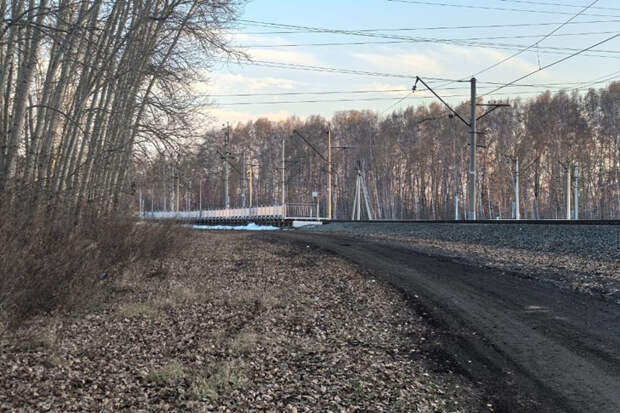 В Новосибирске разыскивается маньяка с исцарапанным лицом