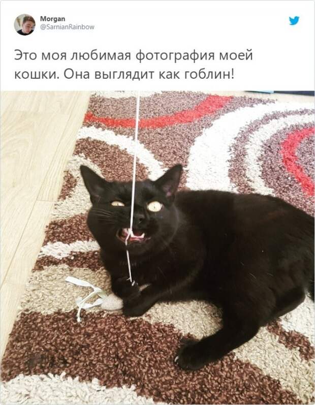 www.vsyako.net