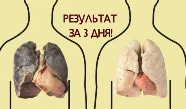 Самый классный способ очистить легкие. Очищение поджелудочной с помощью лаврового листа