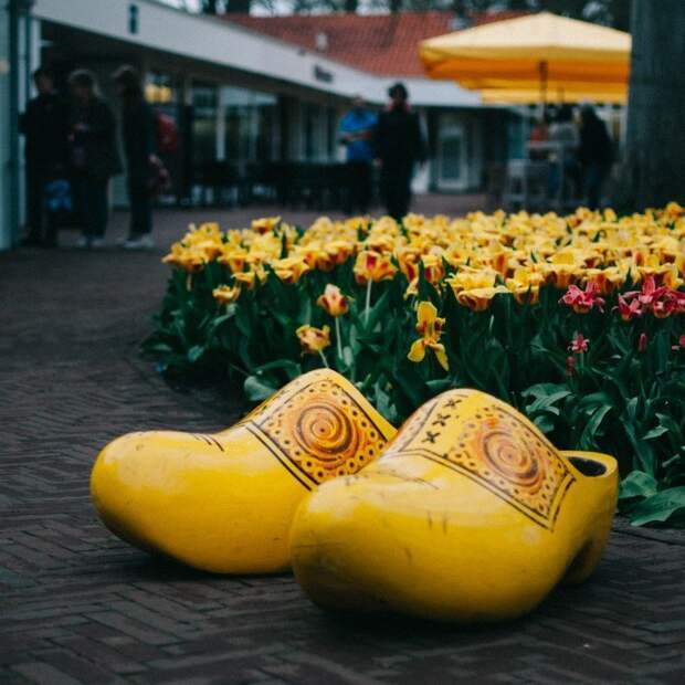 Парк цветов Keukenhof, апрель 2018 путешествия, факты, фото