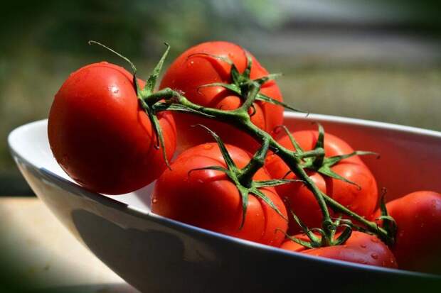 Эксперт указала на опасность популярного летнего салата