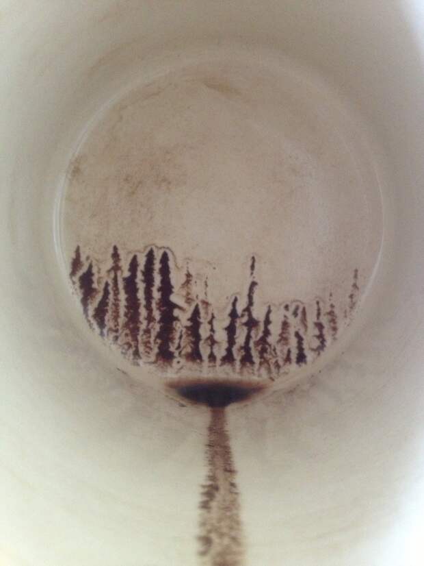 Кофейный лес в чашке  искусство, случайность, творчество