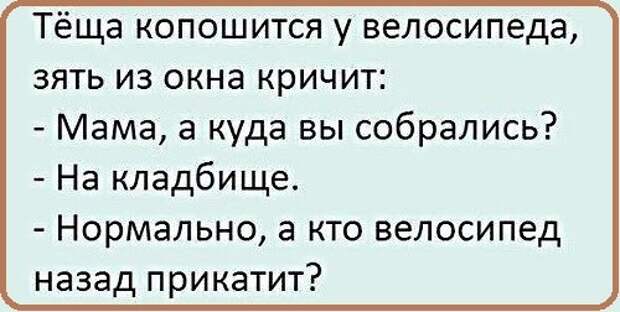 Анекдоты, истории и картинки с надписями