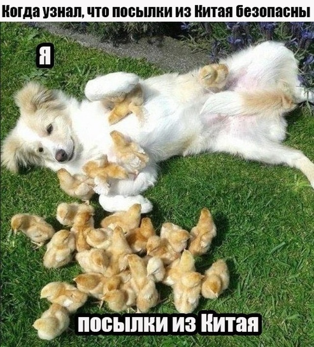 www.vsyako.net