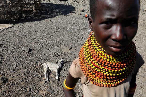Кенийцы жгут животных, чтобы избежать эпидемии