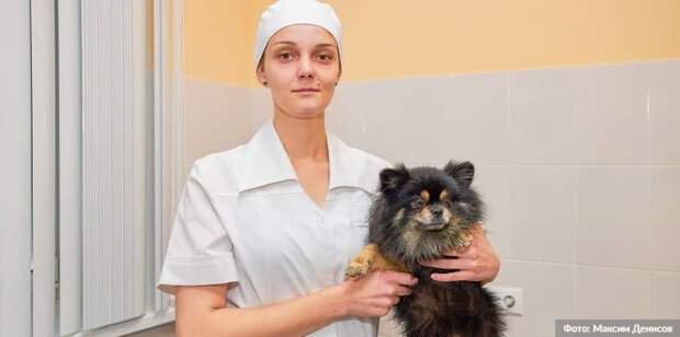 Фото: М. Денисов mos.ru