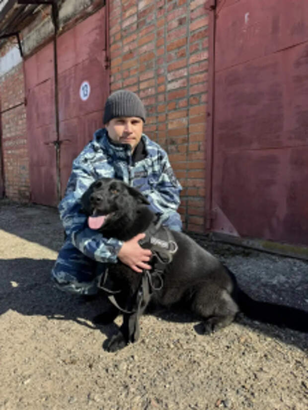 В Кировской области квартирная кража была раскрыта благодаря полицейскому кинологу