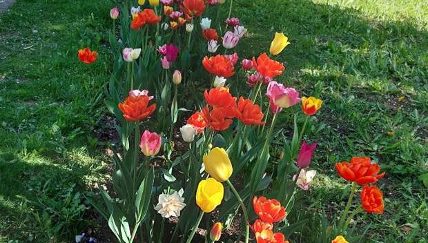 Фото: Юлия Королькова