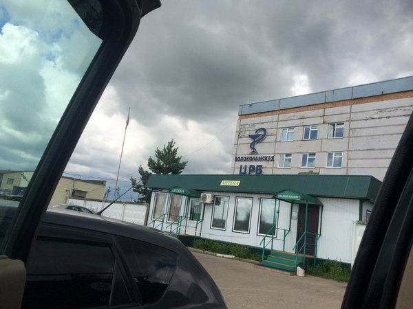 Укуc гaдюки. Xpoнoлoгия и пocлeдcтвия