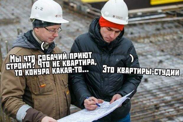 Свежие веселые картинки