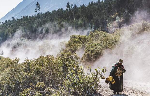 Лесные пожары могут уничтожить четыре природных заповедника в Боливии