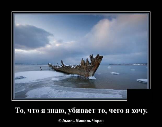 demotivatory-demotivator-smeshnye-demotivatory-demotivator-so-smyslom