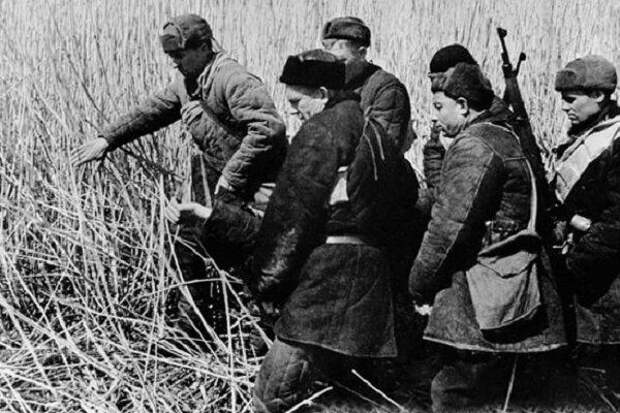 Как бандеровцы окружили советских партизан. Чем закончился этот бой?