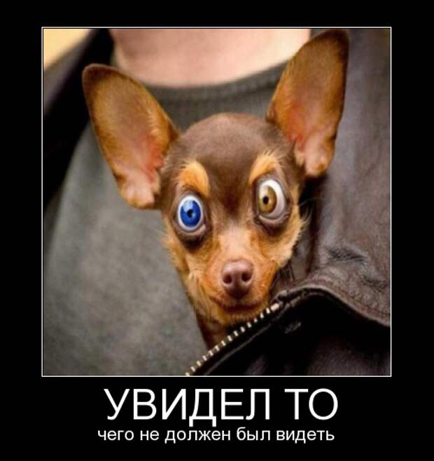 1e9047b9fd5f3ff3825587456e9d07bb
