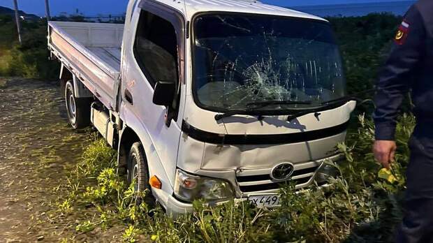 Водитель грузовика сбил четырех детей на Сахалине