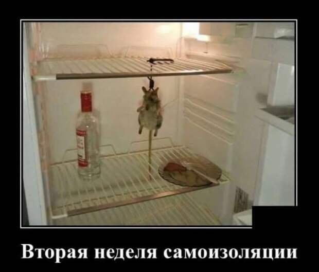 Прикольные демотиваторы с надписями. Подборка chert-poberi-dem-chert-poberi-dem-14080424072020-5 картинка chert-poberi-dem-14080424072020-5