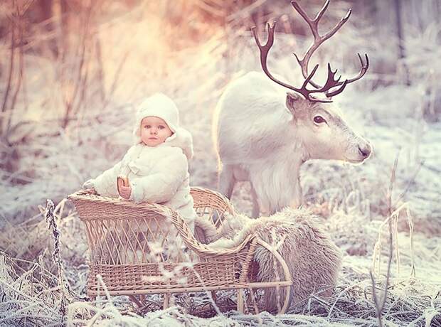 Снимок фотографа Елены Карнеевой. Снимок фотографа Елены Карнеевой.