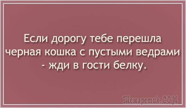 Анекдоты и смешные цитаты в открытках