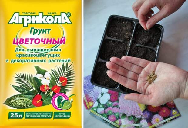 Грунт для рассады