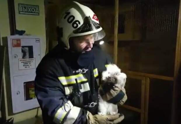 Животных из контактного зоопарка спасли при пожаре в ТЦ в Грозном