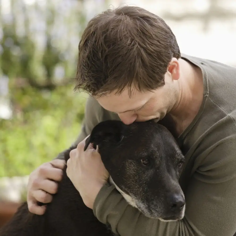 А особенно верных. Собака друг человека. Человек с собакой. Человек обнимает собаку. Парень обнимает собаку.