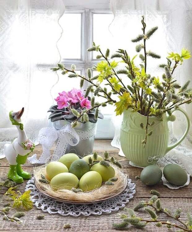 Фото из открытых источников интернета.