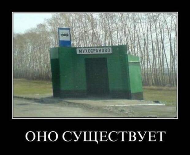 Прикольные и просто красивые картинки