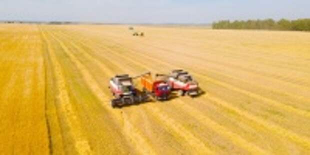 В Ивановской области зерновые убраны с 80 процентов площадей