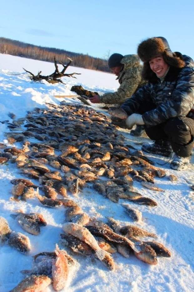 Мунха - зимняя рыбалка по-якутски.