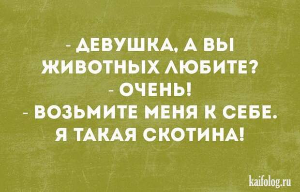 Смешные открытки (35 картинок)