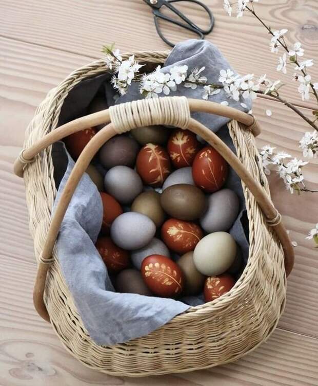 Фото из открытых источников интернета.