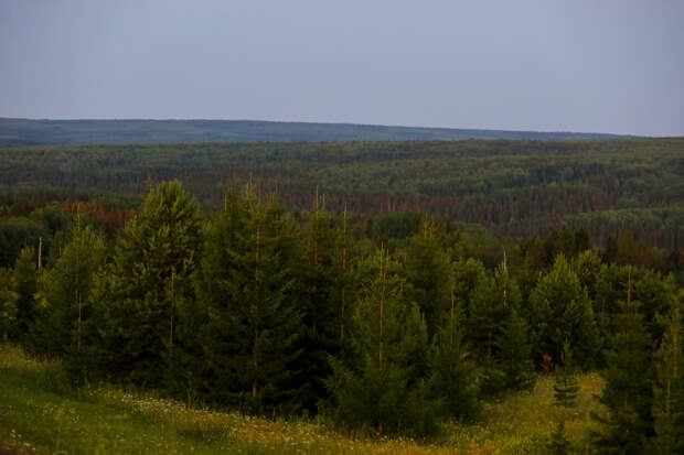 Появились новые подробности о поисках загадочно исчезнувших Усольцевых