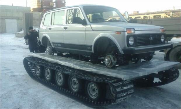 фото приколы